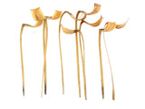 TROCKENBLUMEN SILBERBLATT 25 Stiele Gigante Natur Dekoration Grabschmuck Wohnaccessoires