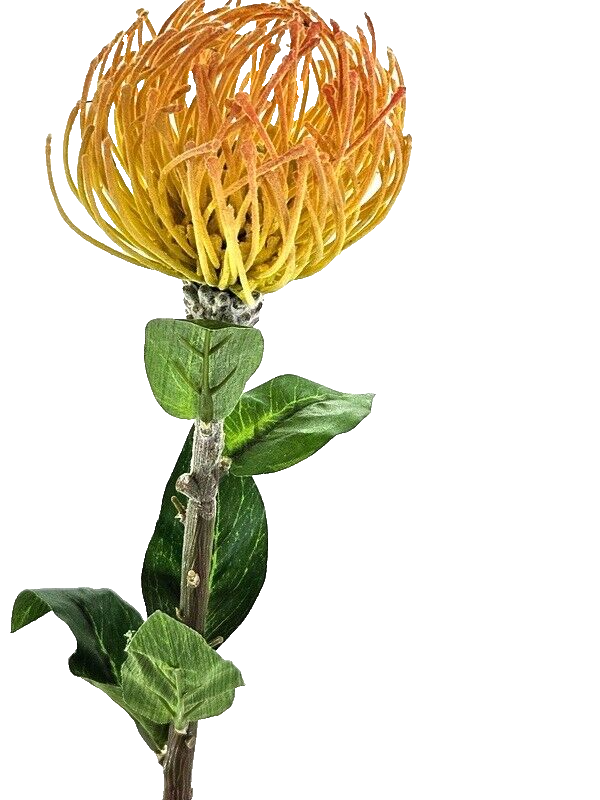 KUNSTBLUME NADELKISSEN künstliches Nadelkissen  orange 70 L x 10 cm Einzelblume Dekoration