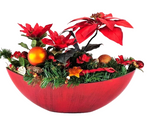 CASA - POADOR WEIHNACHTSGESTECK ellipse rote Weihnachtssterne künstlich Dekoration