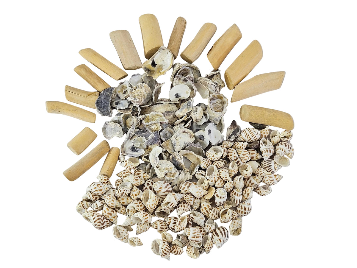 MUSCHEL SCHNECKEN MIX in BOX Shell Nature in Tray Diy Basteln Dekoration