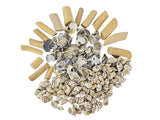 MUSCHEL SCHNECKEN MIX in BOX Shell Nature in Tray Diy Basteln Dekoration