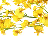 KÜNSTLICHE ORCHIDEEN 1 Karton mit 12 gelben Orchideen 100 cm Dekoration