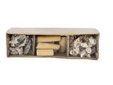 MUSCHEL SCHNECKEN MIX in BOX Shell Nature in Tray Diy Basteln Dekoration
