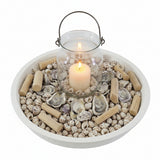 MUSCHEL SCHNECKEN MIX in BOX Shell Nature in Tray Diy Basteln Dekoration