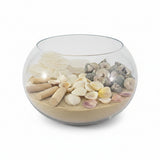 CASA - POADOR MUSCHEL MIX in Box Trochus Capis DIY Basteln
