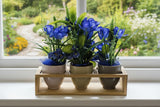 CASA - POADOR BLUMENGESTECK Blau in Holzkästchen Kunstblumen Deko Geschenk